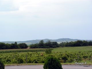 pict3858.jpg