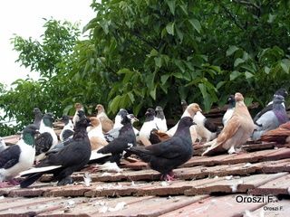 pict3923.jpg