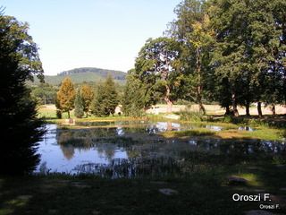 pict3971.jpg