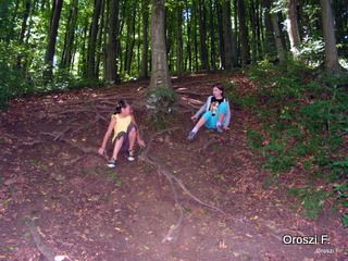 pict4085.jpg