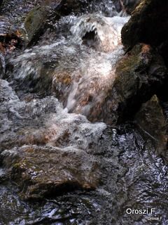 pict4091.jpg