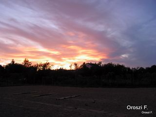 pict4224.jpg