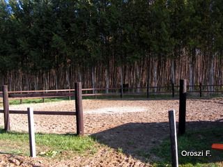 pict4938.jpg