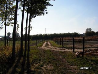 pict4947.jpg