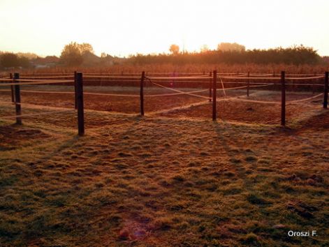 pict5009.jpg