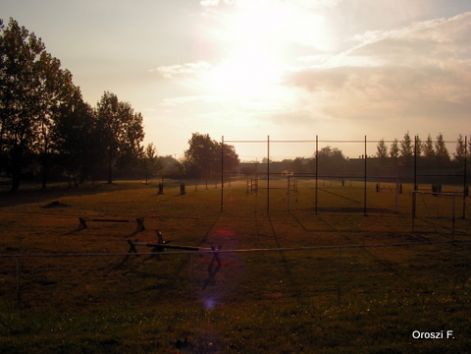 pict5021.jpg